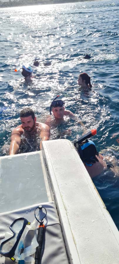 Tamarin: Dolphin Snorkel, CrystalRock, ile o Benitiers Lunch - What the $77 price really includes