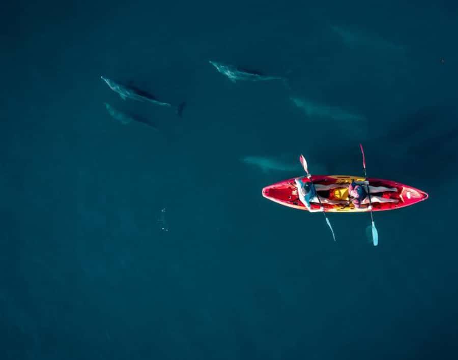 Tamarin: Guided Kayak Tour with Dolphins - Key points at a glance