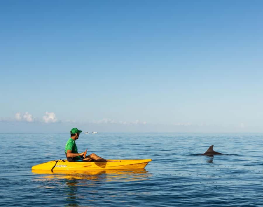 Tamarin: Guided Kayak Tour with Dolphins - Launching from Tamarin Beach