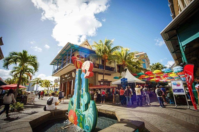 TAXI north guided tour. - Key things to know before booking