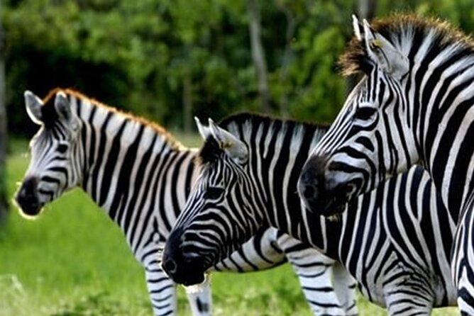 >>TAXI ONLY<< to la vallée des couleurs OR CASELA. - What admission includes, and what costs extra