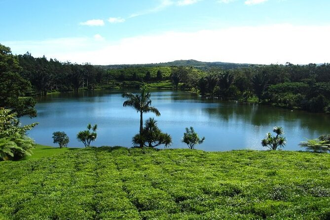Tea and Culture Route - A full day linking Hindu Mauritius with tea and rum