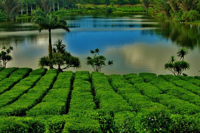 Tea Experience in the Exotic South of Mauritius Private tour. - Grand Bassin, Mauritius’s Sacred Lake