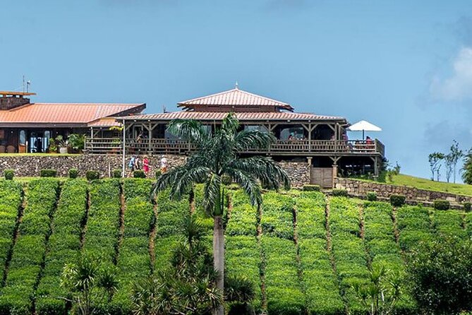 Tea Experience in the Exotic South of Mauritius Private tour. - Floreal Factory Shops and Galleries