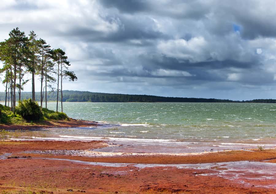 Tea Route: Lake, Forest, Tea Plantation & 3 Course Lunch - Your guide can shape the whole day