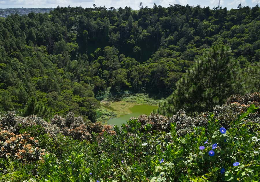 Tea Route: Lake, Forest, Tea Plantation & 3 Course Lunch - Timing, transport, and comfort