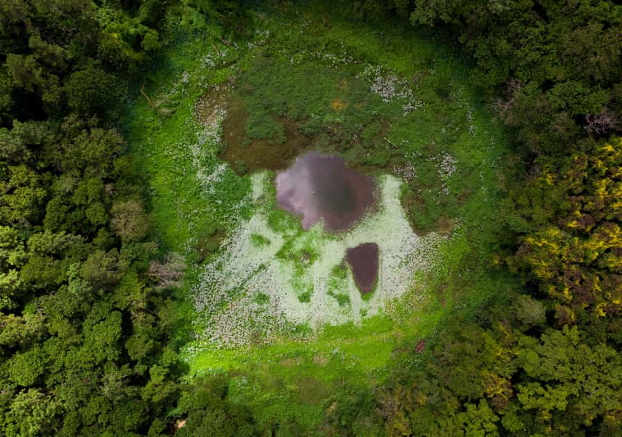 Tea Route: Lake, Forest, Tea Plantation & 3 Course Lunch - Trou aux Cerfs and the volcanic beginning