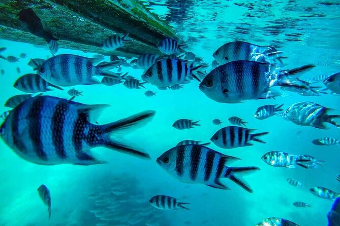 The Adventure East of Mauritius: 3-Watersport Activities & Blue-Bay Marine Park - Old Grand Port and the Frederik Hendrik Museum