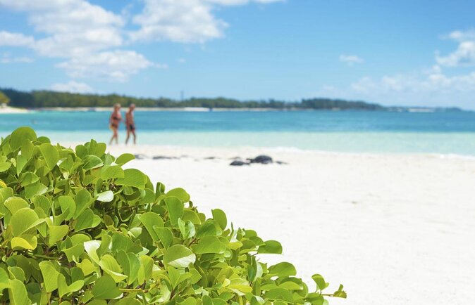 The East Discovery Tour: Bois-Cheri Tea Factory, Blue-Bay Marine Park & Lunch - A full eastern Mauritius day, from tea leaves to coral