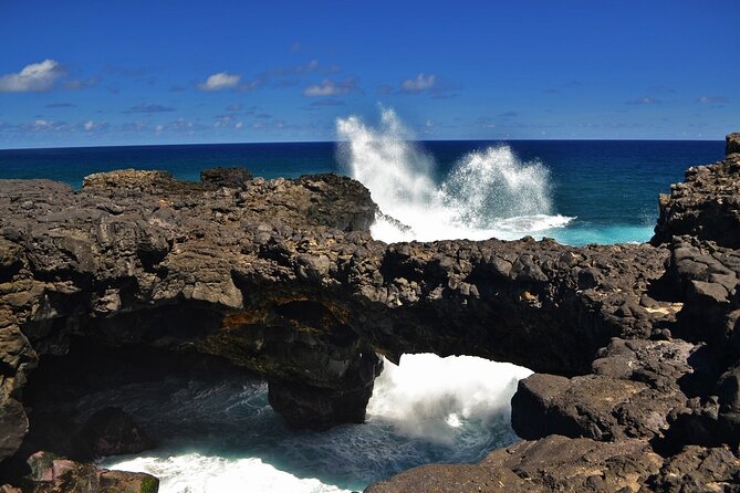 The East of Mauritius: Full-day incl visit to Ile aux Aigrettes & Lunch - Blue Bay for a final coastal look