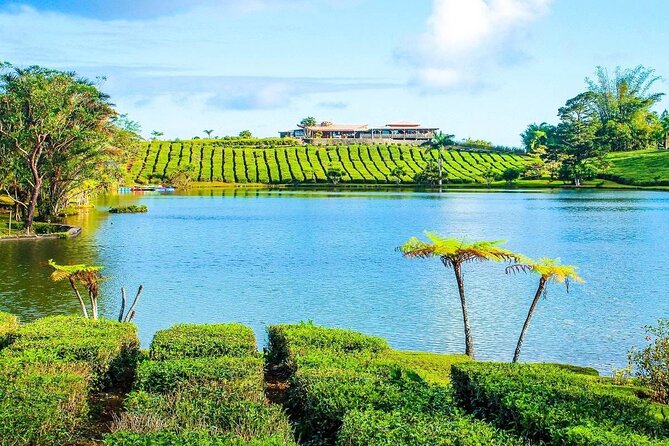 The Gorgeous East: Bois Cheri Tea factory, Rhumerie St-Aubin, Mahebourg & Lunch - Tea, plantations, and the Bois Chéri view