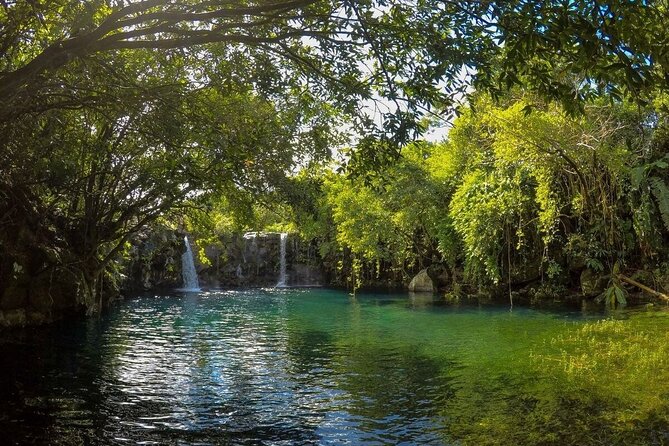 The Hidden Treasures of Mauritius, ALL INCLUSIVE Day Trip, Private SUV Car - Le Souffleur depends on the sea