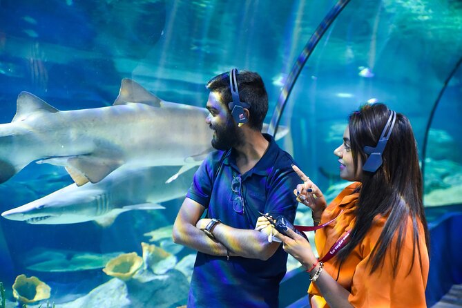 Ticket to the largest Oceanarium of the Mascarene Islands - What You Actually See Inside Odysseo Oceanarium