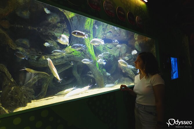 Ticket to the largest Oceanarium of the Mascarene Islands - Mobile Tickets and Daily Flexibility