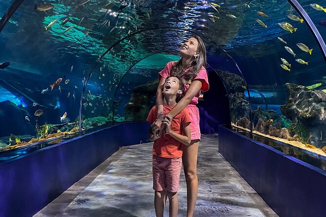 Ticket to the largest Oceanarium of the Mascarene Islands - Is $33.50 a Fair Price?