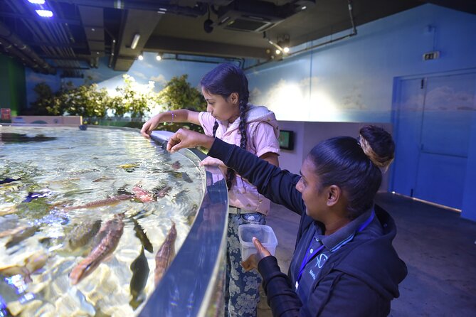 Ticket to the largest Oceanarium of the Mascarene Islands - Who Will Enjoy This Most