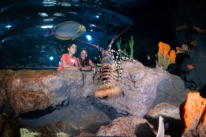 Ticket to the largest Oceanarium of the Mascarene Islands - Weather, Cancellation, and Practical Limits