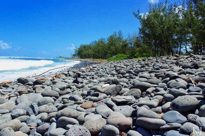 Tropical South West of Mauritius: Full-day All Inclusive tour (Visit to 3 parks) - St Aubin explains how sugar cane becomes rum
