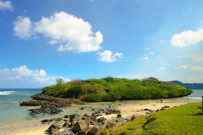 Tropical South West of Mauritius: Full-day All Inclusive tour (Visit to 3 parks) - Bois Chéri adds tea to the island’s food story