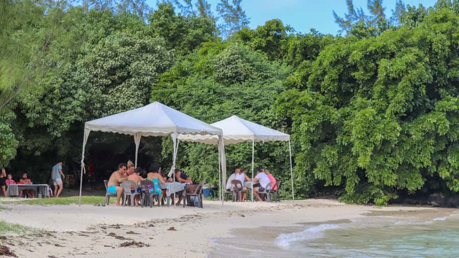 Trou d'Eau Douce: 5 Island Adventure with BBQ & Snorkeling - The two-hour BBQ at Ile aux Cerfs closes the day well