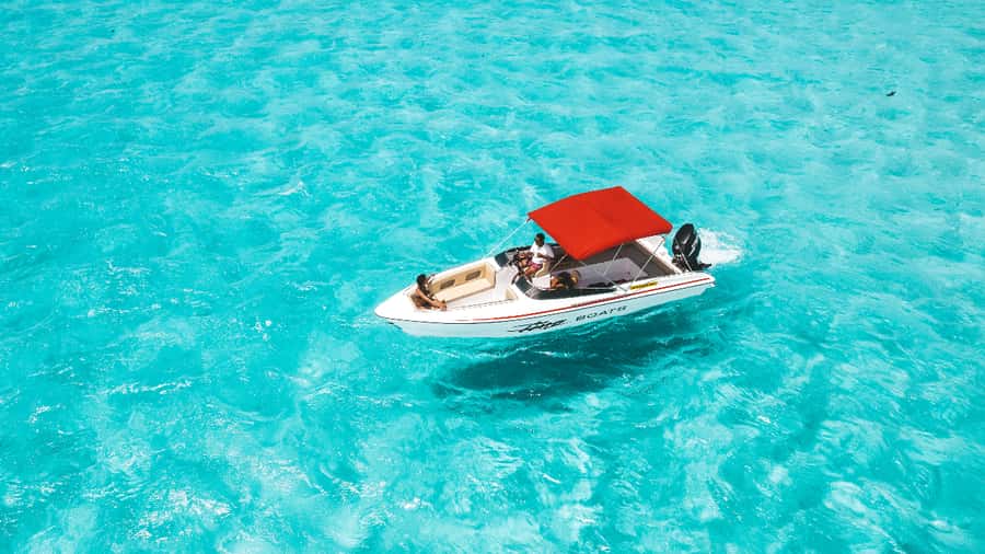 Trou d'Eau Douce: 5 Island Adventure with BBQ & Snorkeling - Wildlife can make the day unforgettable