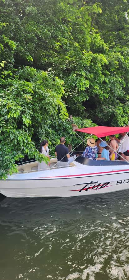 Trou D'Eau Douce: 5 island tour Mauritius with lunch/drinks - Fouquets Island and the passing view of Île de la Passe