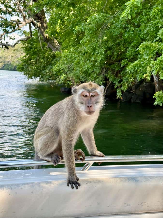 Trou D'Eau Douce: 5 island tour Mauritius with lunch/drinks - Île aux Cerfs, Mauritius’s famous beach stop