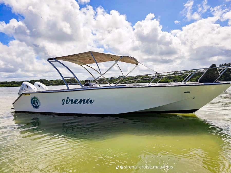 Trou d'Eau Douce: Waterfall and Ile aux Cerfs Day Trip - Key points at a glance