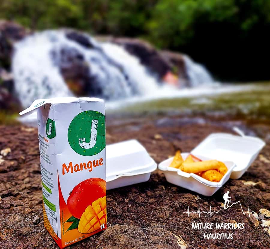 Vacoas-Phoenix: Private Hiking Tour to Tamarind Falls - Practical Tips Before You Go
