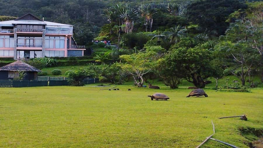 Valle Adventure Park Full Day - Guide quality and the private format