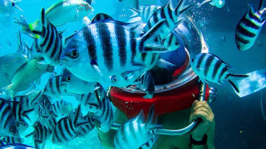 Walking under the sea in Mauritius with transfer - The safety briefing and equipment check