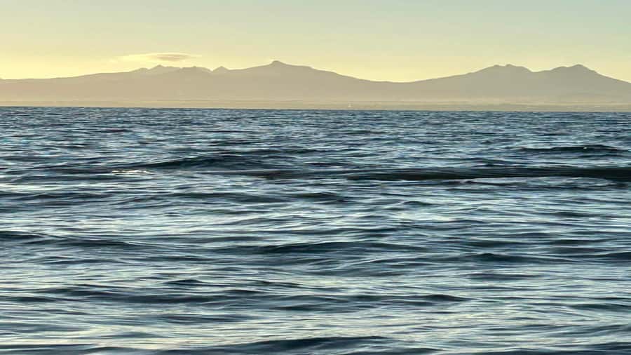 Whale & Dolphins Swimming - Private Speedboat Exclusive Tour - Snorkeling and the reef stop