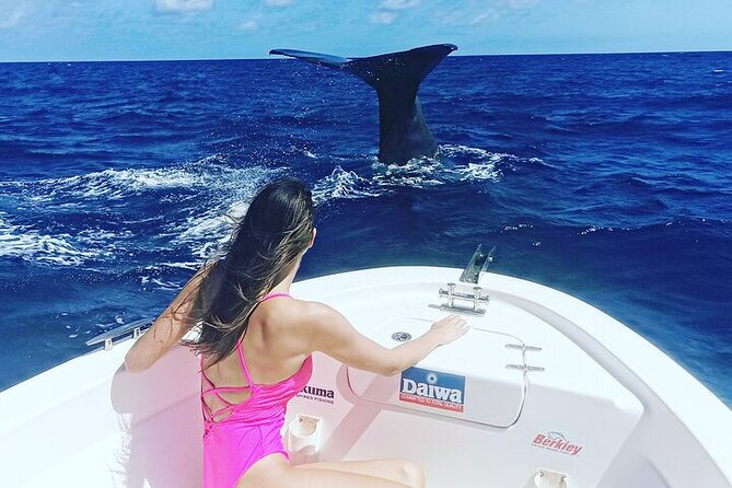 Whale Dream ltd - Whales watching and swim with dolphins - Snacks, equipment, and practical comfort