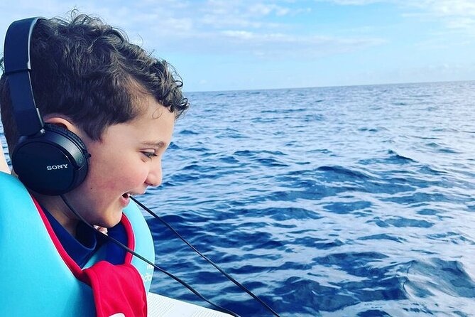 Whale Dream ltd - Whales watching and swim with dolphins - Who should book Whale Dream?