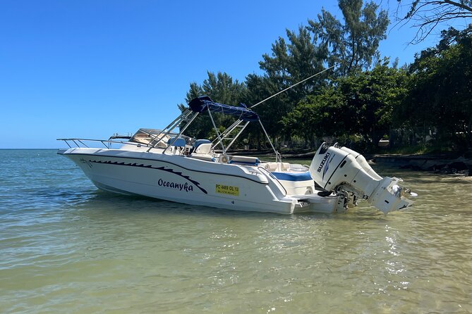 Whale Watching and Private Ocean Safari Experience in Mauritius - Why this safari feels different
