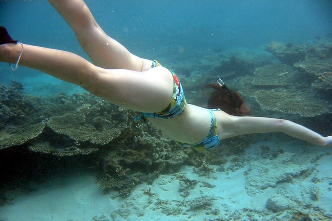 Whale Watching and Private Ocean Safari Experience in Mauritius - Dolphins, turtles, and the uncertain part of nature