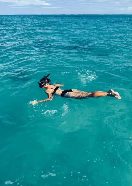 Wild Dolphin Encounter & Snorkeling Adventure – Mauritius. - Key Points to Know Before You Go
