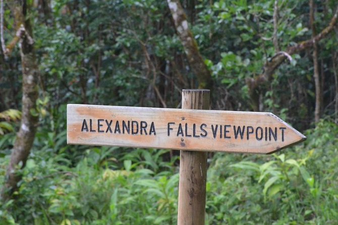 Wild South: Full-Day tour incl Rhumerie St Aubin, Bois cheri Tea factory & Lunch - Bois Chéri, tea production, and a panoramic lunch