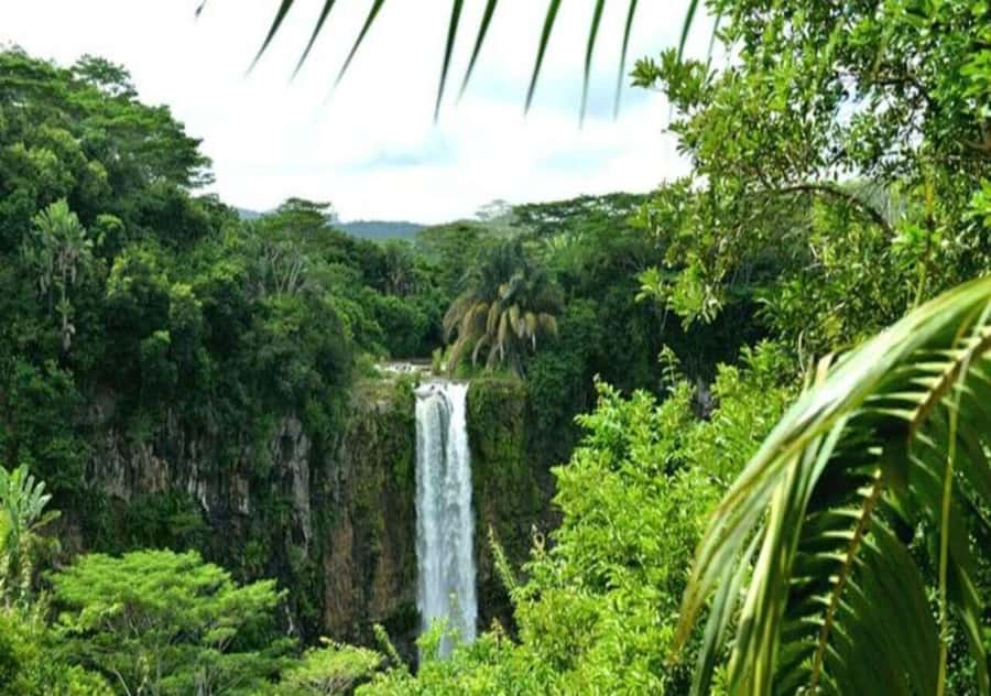 Wild South West Private Tour with pick up - Key points to know before booking