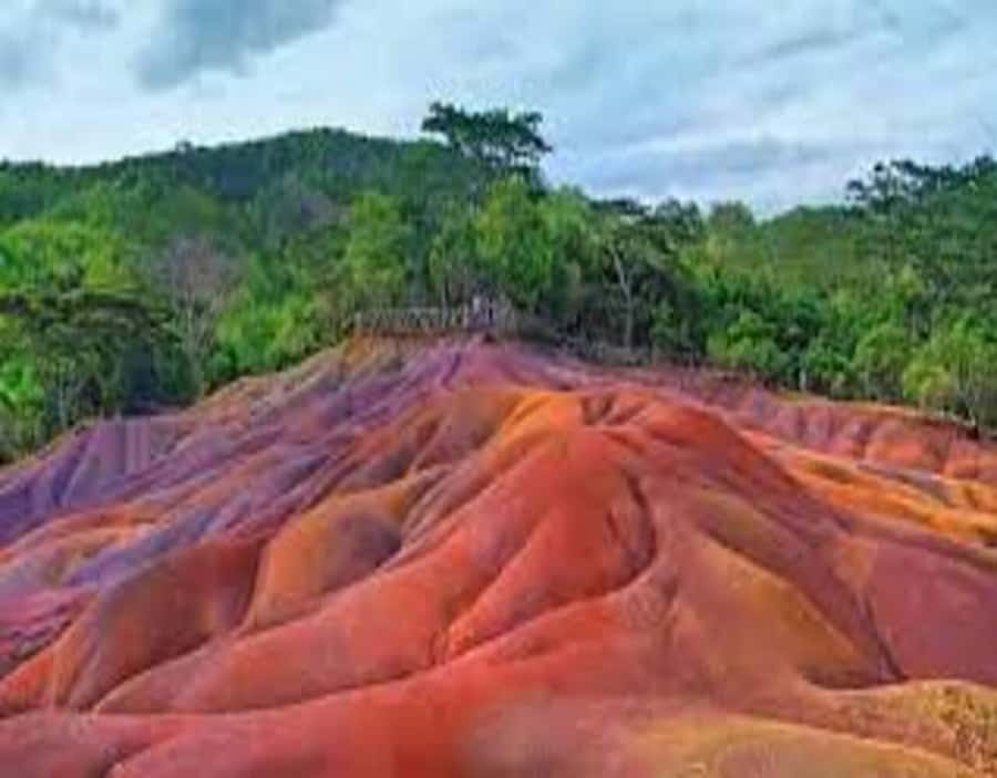 Wild South West Private Tour with pick up - A full day through southwest Mauritius