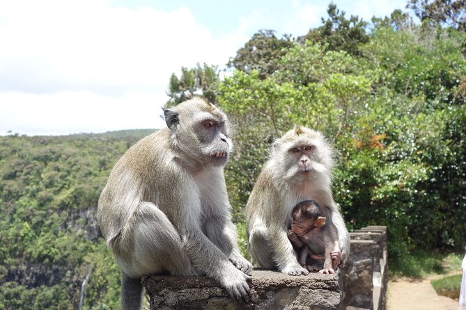 Wild South West Tour : SAFARI & TULAWAKA CASELA PARK & LE MORNE - Why this private route works so well