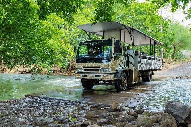 Wild South West Tour : SAFARI & TULAWAKA CASELA PARK & LE MORNE - Timing, comfort, and what to bring