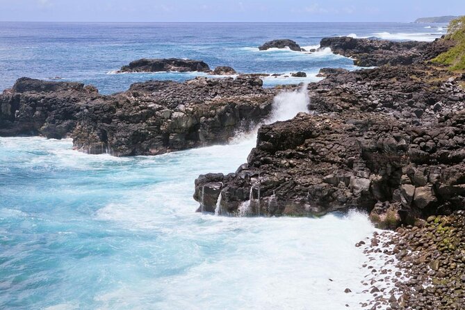 Wild Southern 18km - Key points to know before you book
